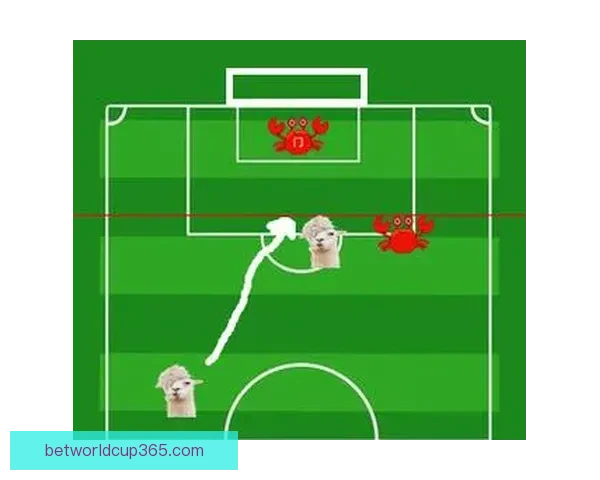 从新手到进阶全面看懂世界杯竞猜投注规则技巧策略与风险控制