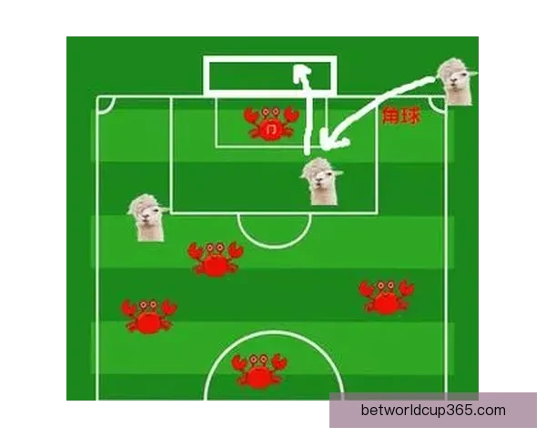 从新手到进阶全面看懂世界杯竞猜投注规则技巧策略与风险控制